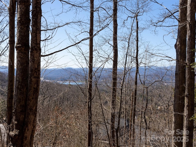 19 Giffords Ln Unit 8, Asheville, NC 28803