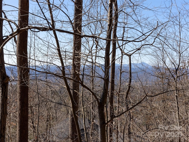 19 Giffords Ln Unit 8, Asheville, NC 28803