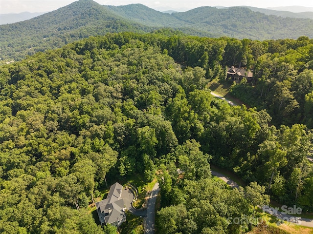 19 Giffords Ln Unit 8, Asheville, NC 28803