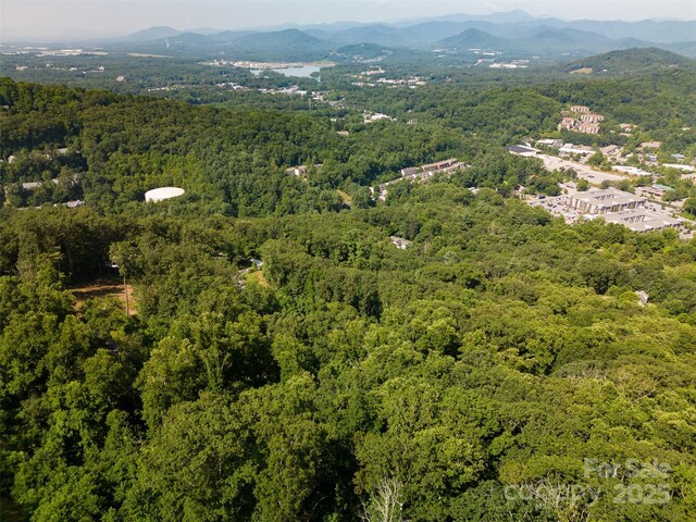19 Giffords Ln Unit 8, Asheville, NC 28803
