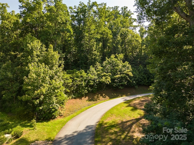19 Giffords Ln Unit 8, Asheville, NC 28803