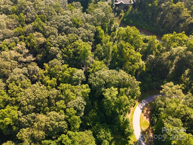 19 Giffords Ln Unit 8, Asheville, NC 28803