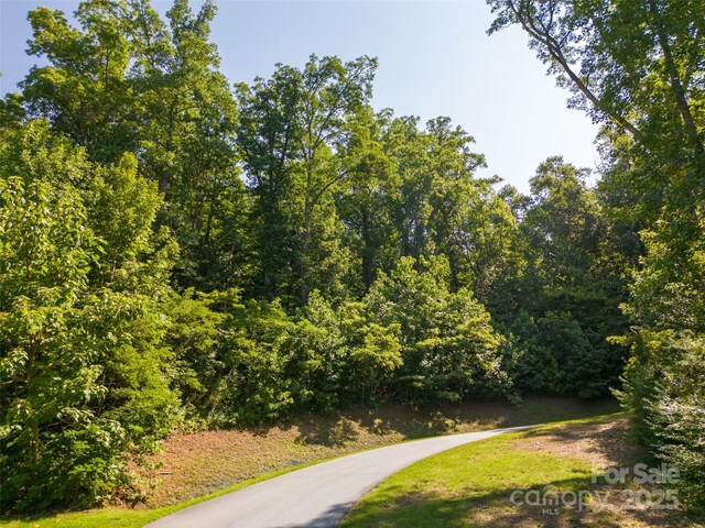 19 Giffords Ln Unit 8, Asheville, NC 28803