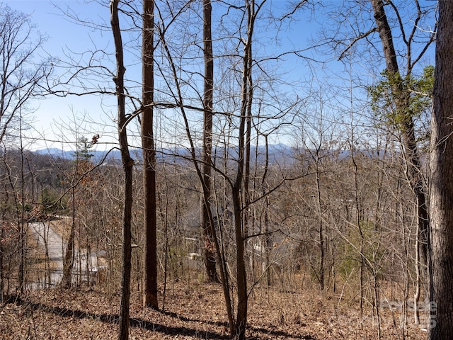 19 Giffords Ln Unit 8, Asheville, NC 28803