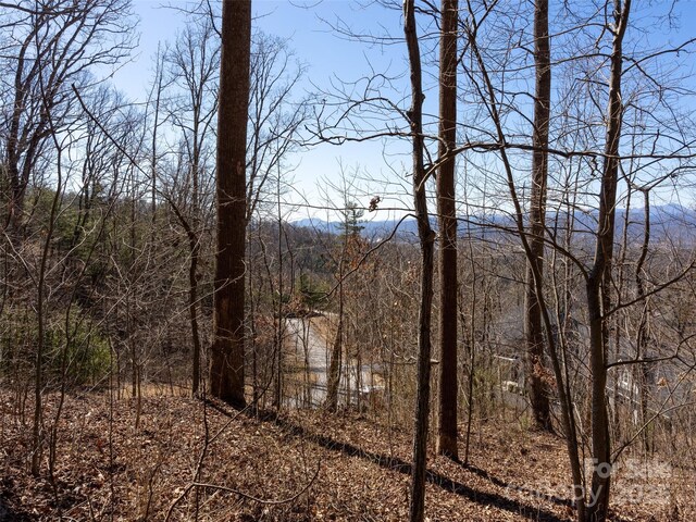 19 Giffords Ln Unit 8, Asheville, NC 28803