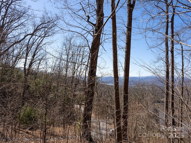 19 Giffords Ln Unit 8, Asheville, NC 28803