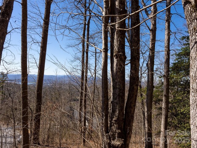 19 Giffords Ln Unit 8, Asheville, NC 28803