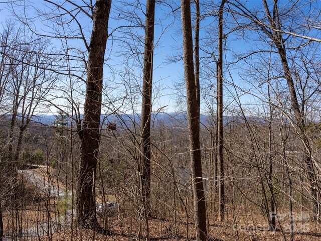 19 Giffords Ln Unit 8, Asheville, NC 28803
