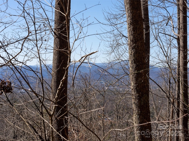19 Giffords Ln Unit 8, Asheville, NC 28803