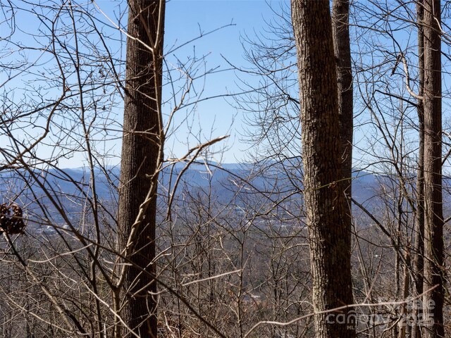 19 Giffords Ln Unit 8, Asheville, NC 28803