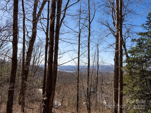 19 Giffords Ln Unit 8, Asheville, NC 28803