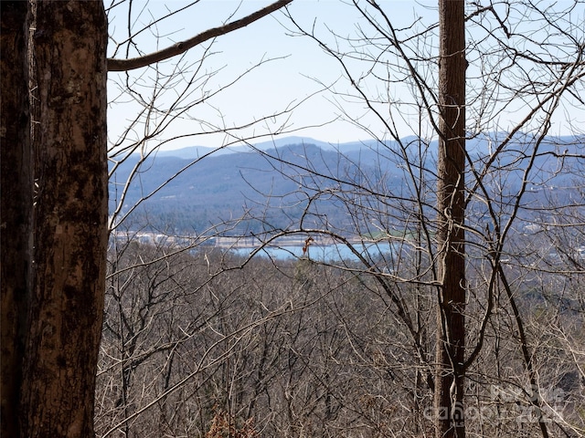 19 Giffords Ln Unit 8, Asheville, NC 28803