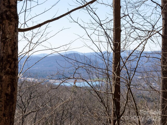 19 Giffords Ln Unit 8, Asheville, NC 28803