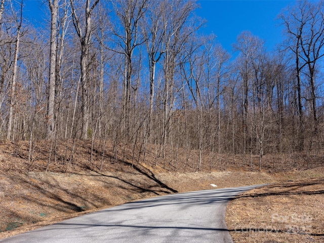 19 Giffords Ln Unit 8, Asheville, NC 28803