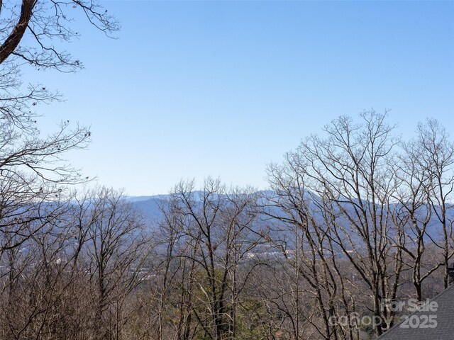 19 Giffords Ln Unit 8, Asheville, NC 28803