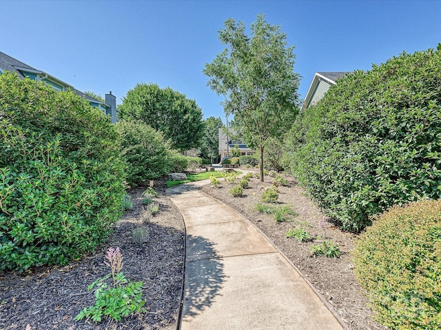 332 Delburg St, Davidson, NC 28036 - photo 36