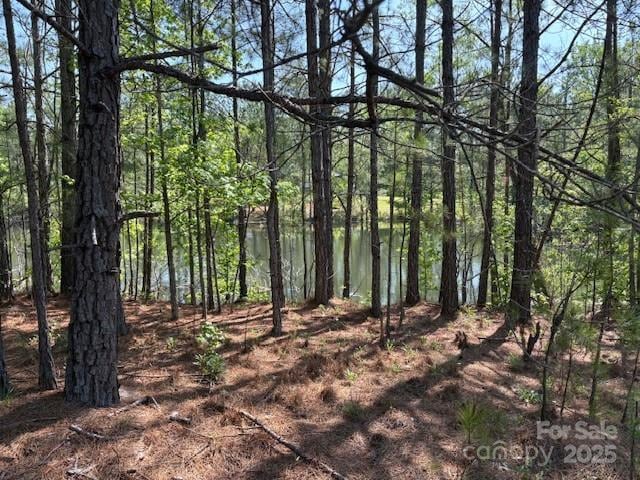 464 Ingram Rd, Lilesville, NC 28091 - photo 8