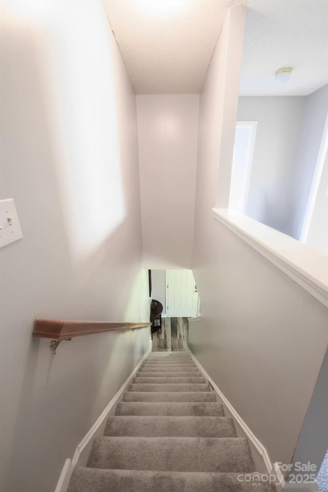 stairs featuring carpet and baseboards