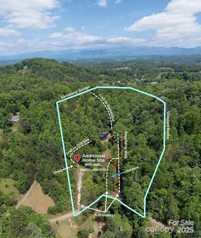 83 Mount Airy Rd, Marshall, NC 28753 - photo 2