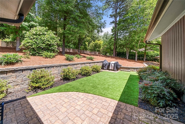 view of yard featuring a patio