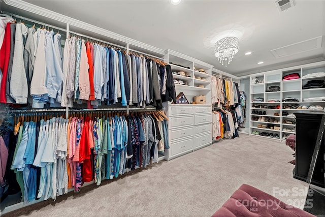 walk in closet featuring carpet flooring and attic access