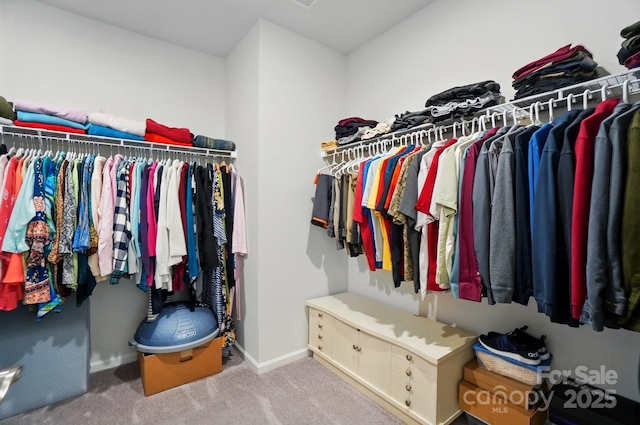 1360 Dali Blvd, Mount Holly, NC 28120 - walk in closet with carpet floors