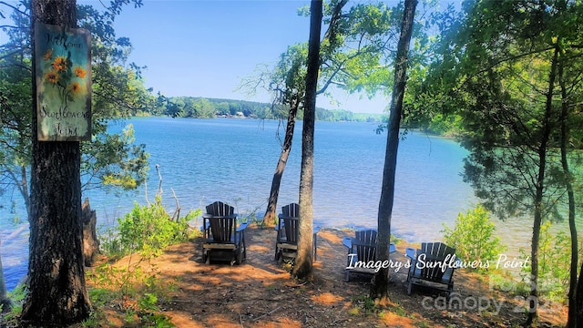 1360 Dali Blvd, Mount Holly, NC 28120 - water view