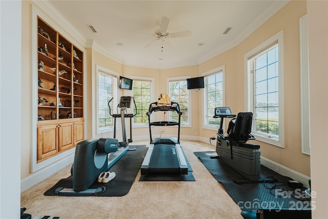 workout area with ceiling fan, baseboards, crown molding, and carpet