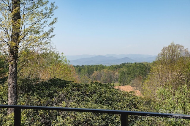 28 Tudor Crescent Ct, Hendersonville, NC 28739 - photo 3