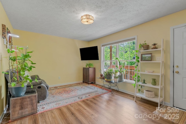 11 Louisville Pl, Asheville, NC 28806 - unfurnished room with wood finished floors, a textured ceiling, and baseboards