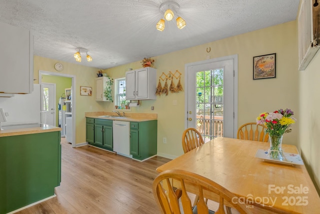 11 Louisville Pl, Asheville, NC 28806 - kitchen with green cabinetry, white dishwasher, a sink, a textured ceiling, and light wood finished floors