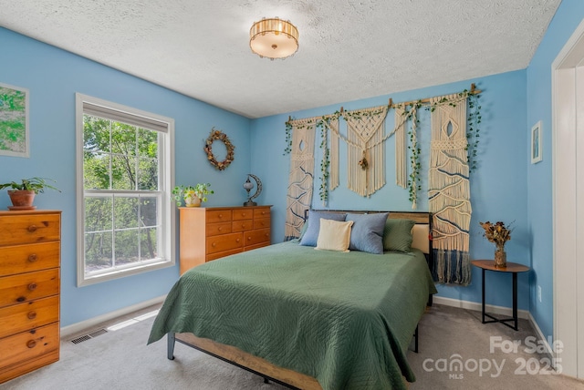 11 Louisville Pl, Asheville, NC 28806 - carpeted bedroom with baseboards and a textured ceiling