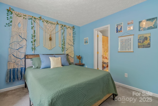 11 Louisville Pl, Asheville, NC 28806 - bedroom with carpet, baseboards, and a textured ceiling