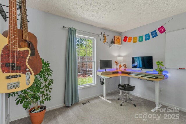 11 Louisville Pl, Asheville, NC 28806 - carpeted office space with a textured ceiling and baseboards