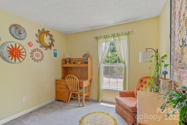 11 Louisville Pl, Asheville, NC 28806 - living area with carpet, a textured ceiling, and baseboards