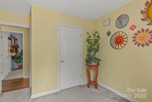 11 Louisville Pl, Asheville, NC 28806 - living area featuring carpet floors, a textured ceiling, and baseboards
