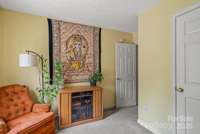 11 Louisville Pl, Asheville, NC 28806 - living area with light colored carpet, a textured ceiling, and baseboards