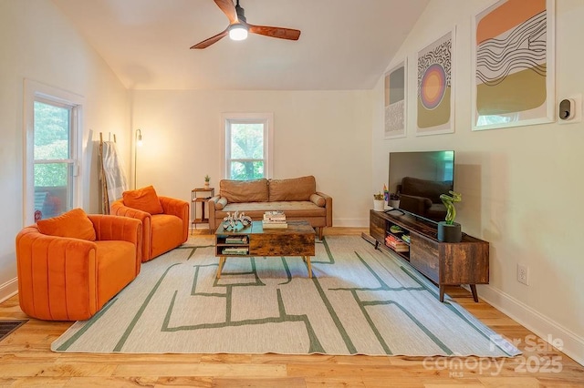 209 Glendale Ave, Asheville, NC 28803 - photo 5