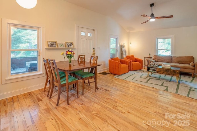 209 Glendale Ave, Asheville, NC 28803 - photo 12