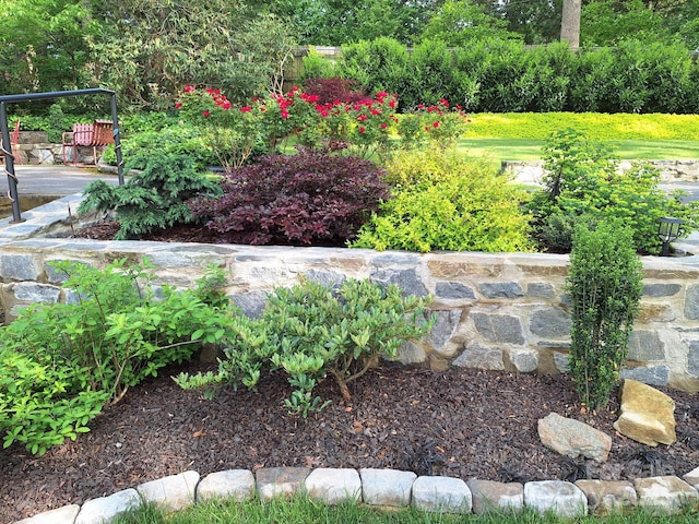 132 Sycamore Ter, Arden, NC 28704 - view of yard