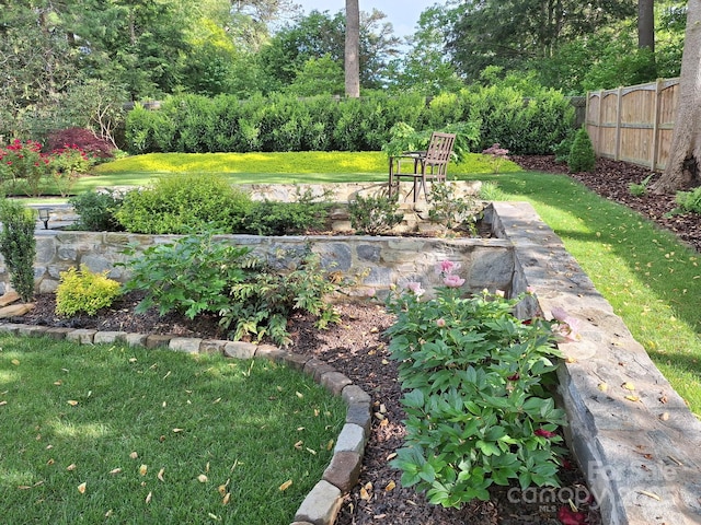 132 Sycamore Ter, Arden, NC 28704 - view of yard