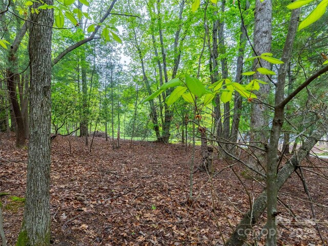 102 Little Cherokee Rdg Unit 83, Hendersonville, NC 28739