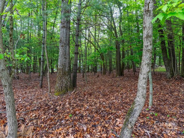 102 Little Cherokee Rdg Unit 83, Hendersonville, NC 28739