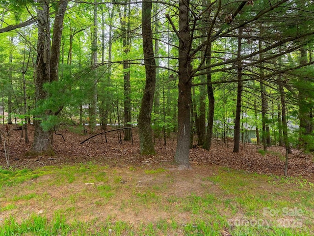 102 Little Cherokee Rdg Unit 83, Hendersonville, NC 28739