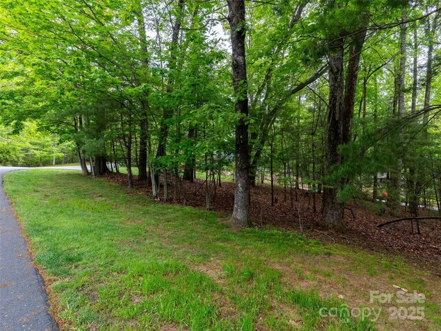 102 Little Cherokee Rdg Unit 83, Hendersonville, NC 28739