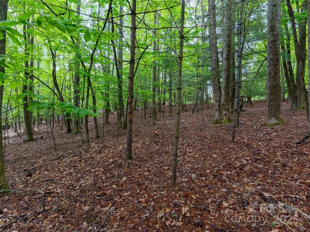102 Little Cherokee Rdg Unit 83, Hendersonville, NC 28739