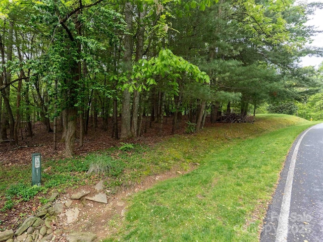 102 Little Cherokee Rdg Unit 83, Hendersonville, NC 28739