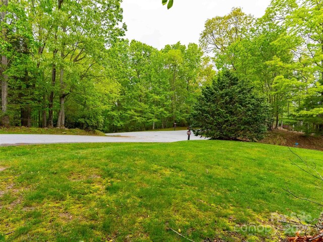 102 Little Cherokee Rdg Unit 83, Hendersonville, NC 28739