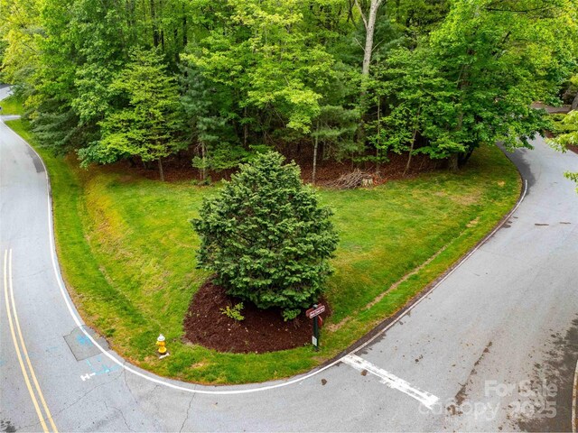 102 Little Cherokee Rdg Unit 83, Hendersonville, NC 28739