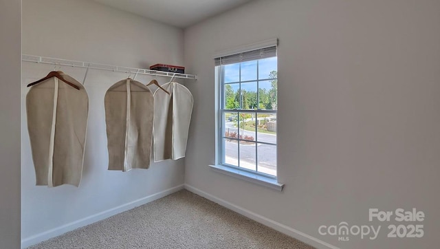 spacious closet featuring carpet floors